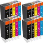 Canon CLI-551BK (zwart); Canon CLI-551C (cyaan); Canon CLI-551M (magenta); Canon CLI-551Y (geel); Canon PGI-550PGBK (pigment zwart)