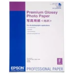 C13S042091 EPSON Premium Fotopapier A2 (420x594mm) 25vel wit 255gr glossy